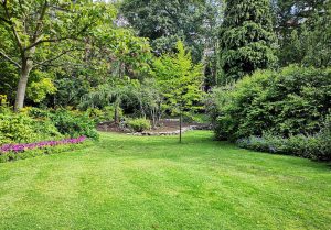 Optimiser l'expérience du jardin à La Roche-sur-Foron